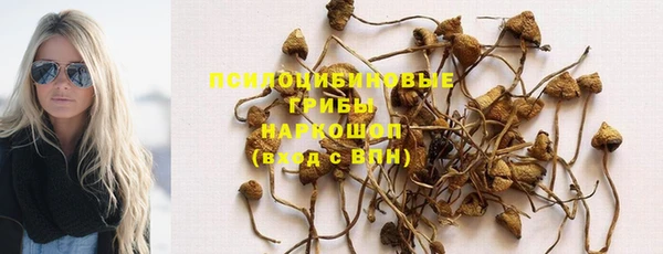 spice Алзамай
