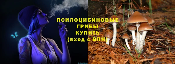 spice Алзамай