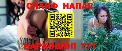 гашик Шебекино
