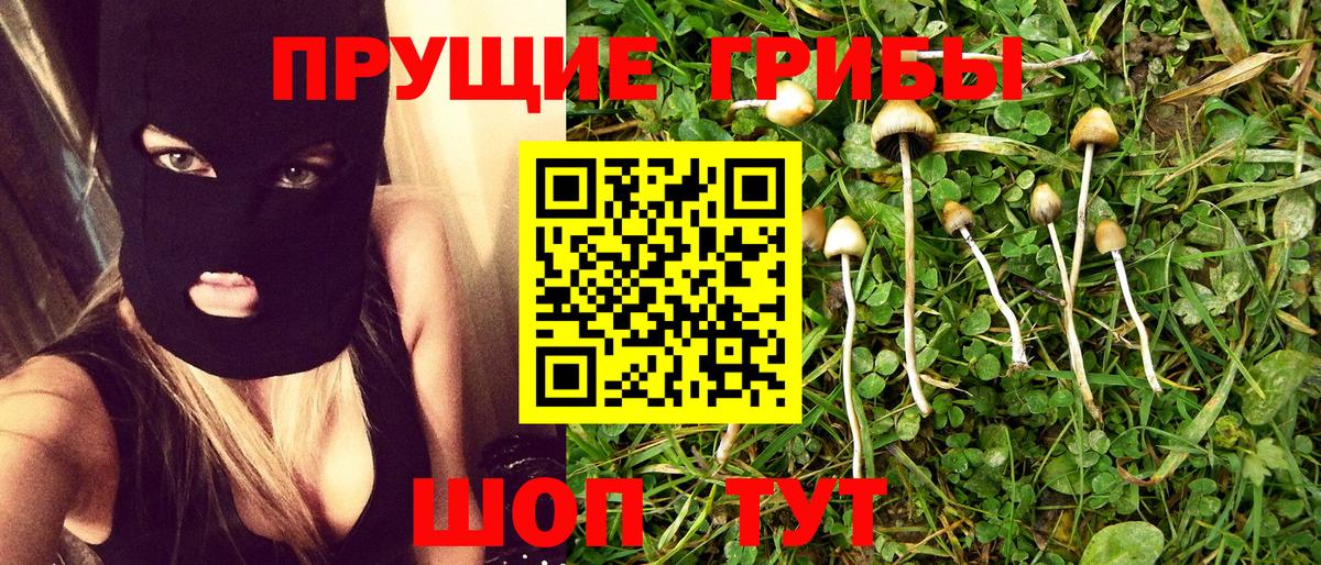 Белореченск  Галлюциногенные грибы ЛСД  Вход с VPN 