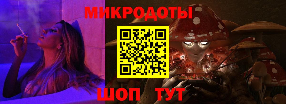 Псилоцибиновые грибы Psilocybe Белореченск