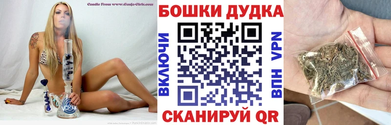 как найти Белореченск нарко площадка официальный сайт Каннабис сатива